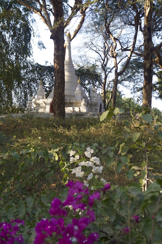 _MG_2491