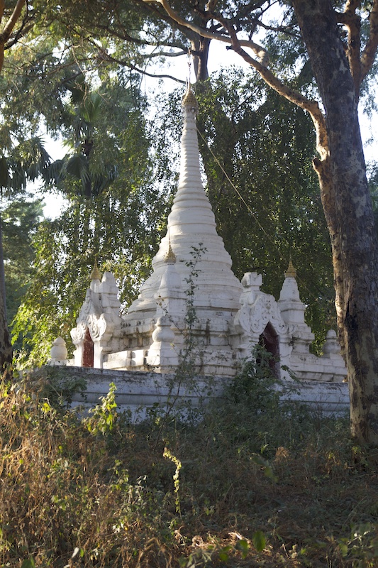 _MG_2492
