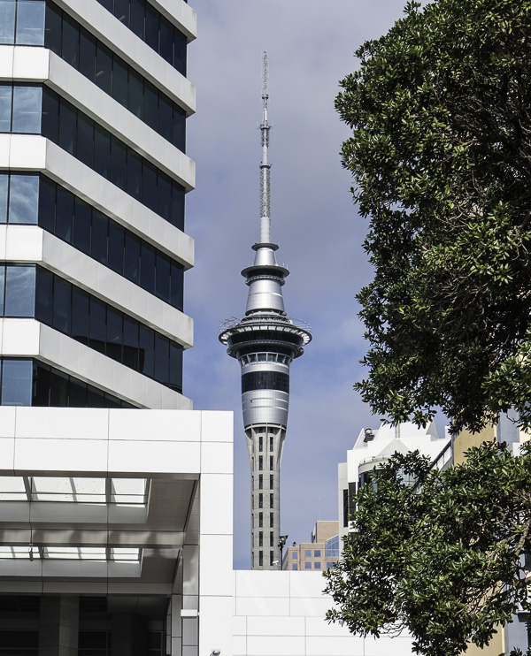 Auckland-28