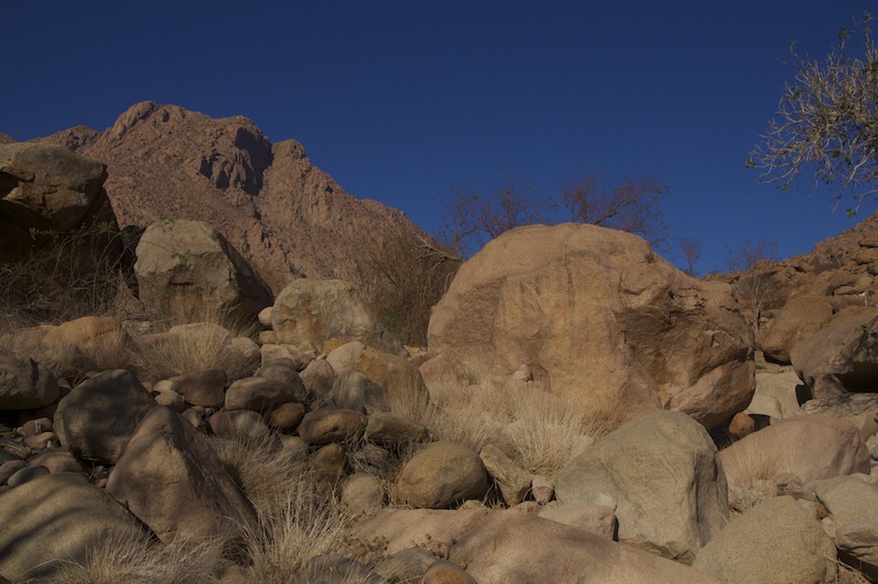 BaboonRock