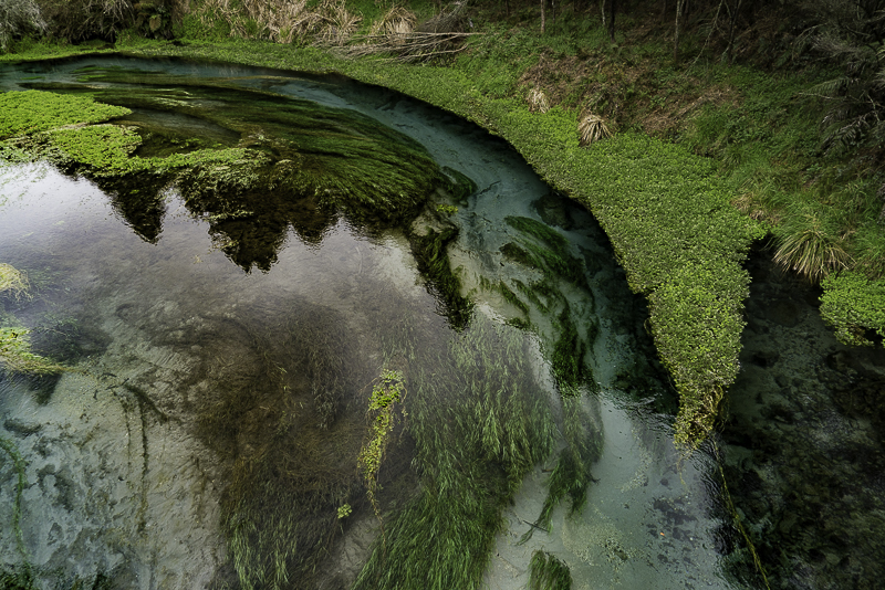 BlueSpring-3