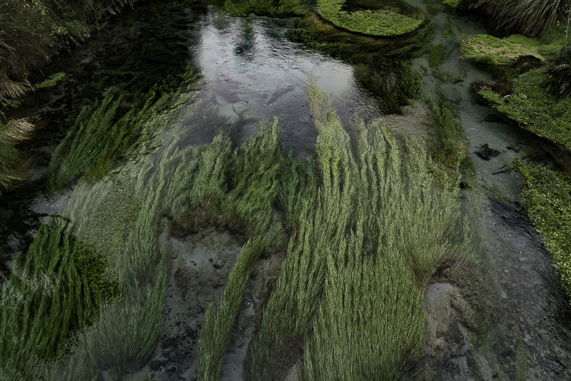 BlueSpring-4
