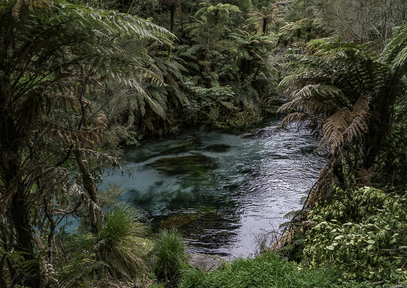 BlueSpring-8