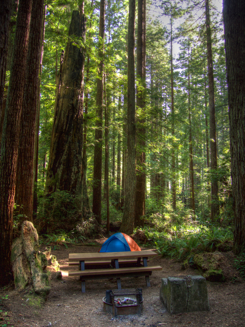 Campsite