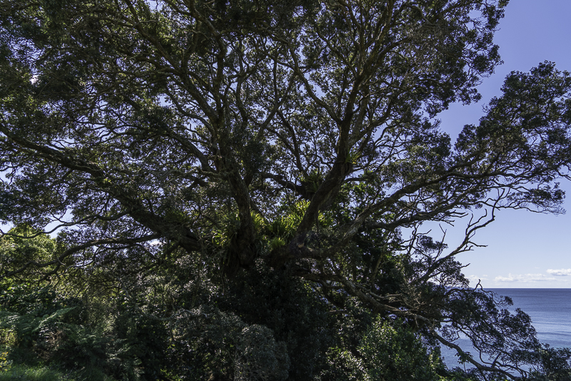 CathedralCove-17