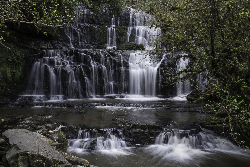 Catlins-103