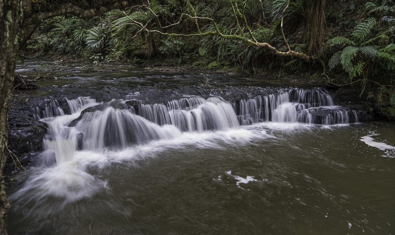 Catlins-112