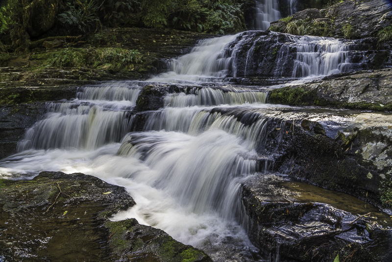 Catlins-60
