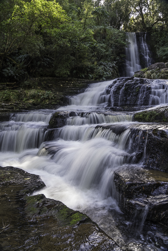 Catlins-63