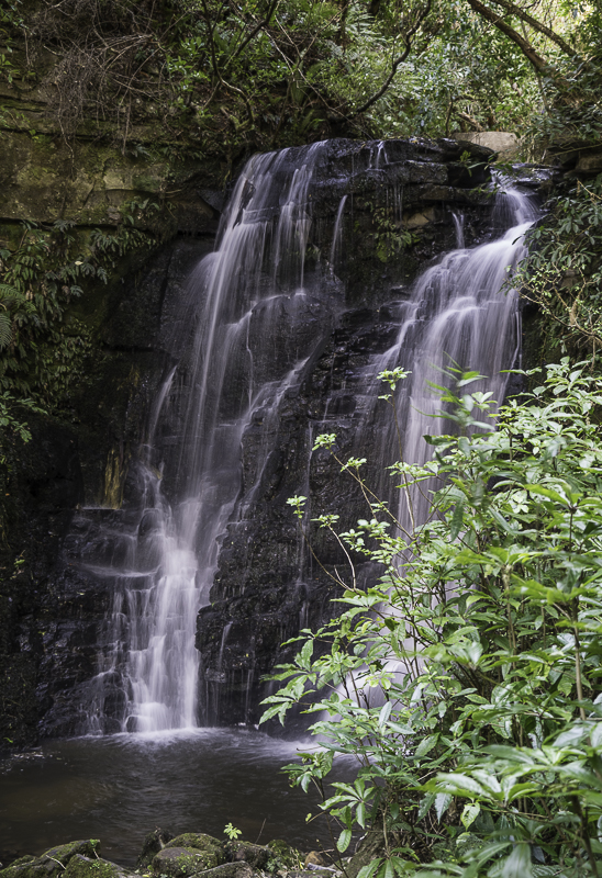 Catlins-99