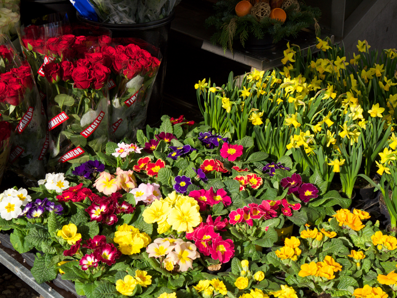 CentralMarket8