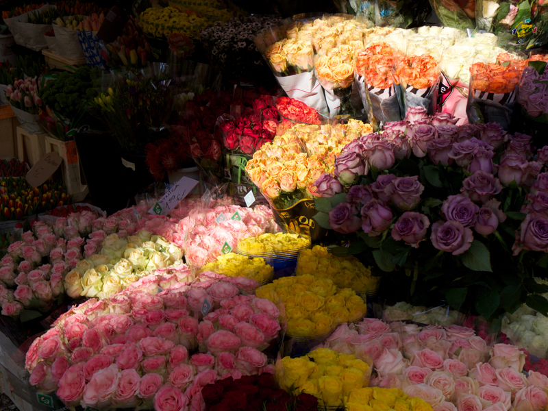 CentralMarket9