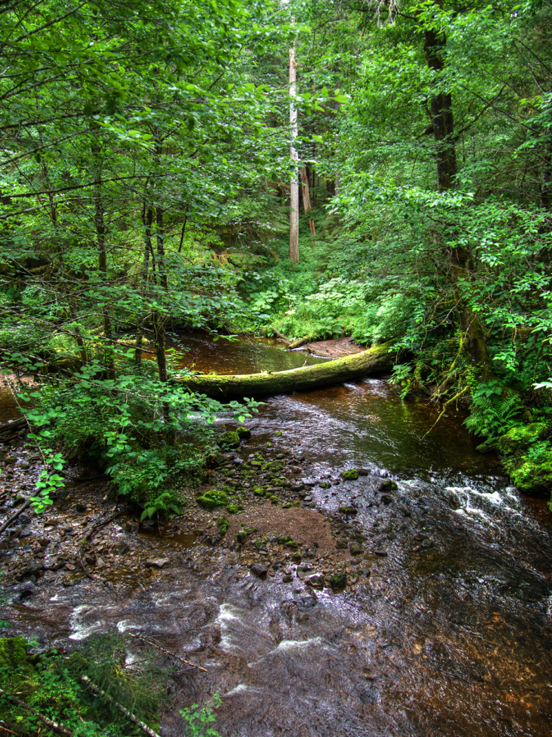 CornerCreek