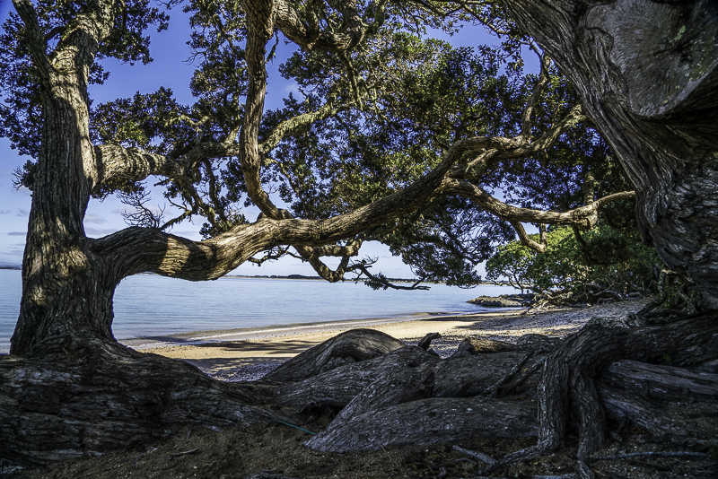 Doubtless Bay-13-HDR