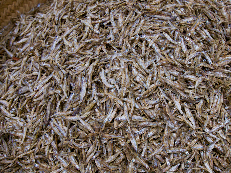 driedfishes
