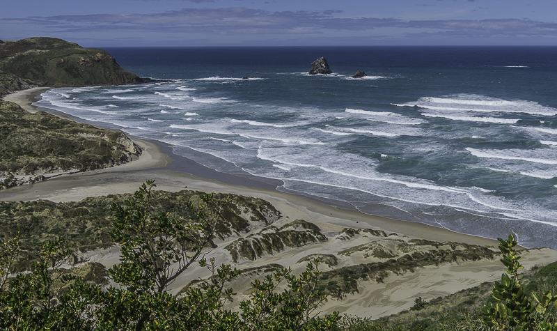 Dunedin-92