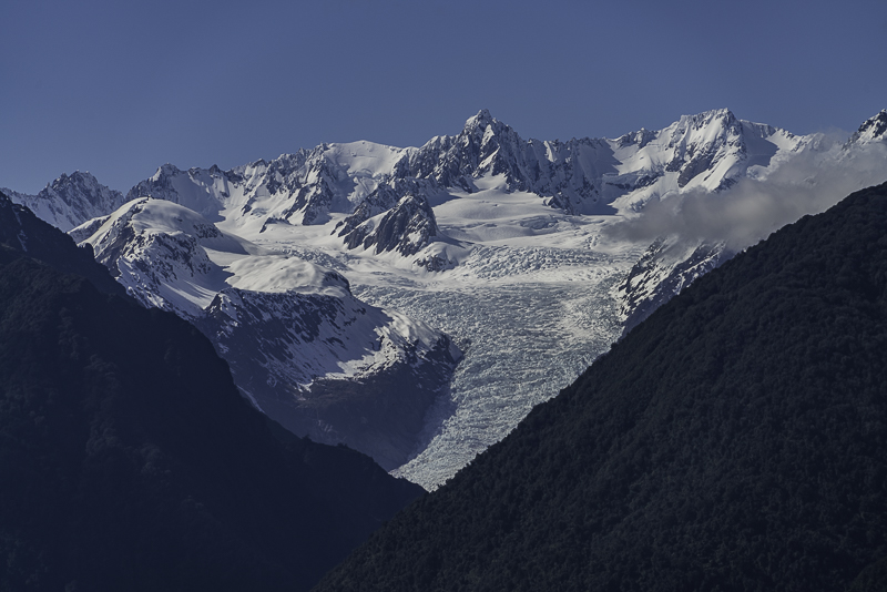 FoxGlacier-12