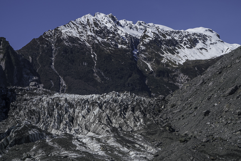 FoxGlacier-5