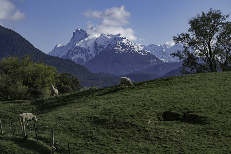 Glenorchy-104