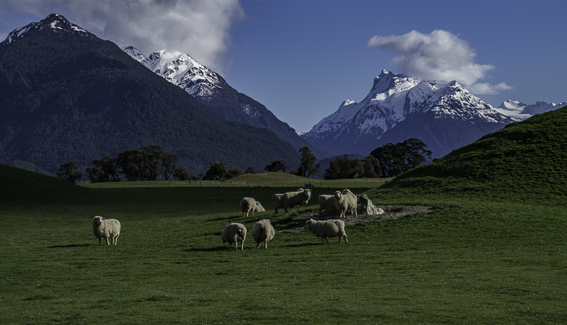 Glenorchy-110