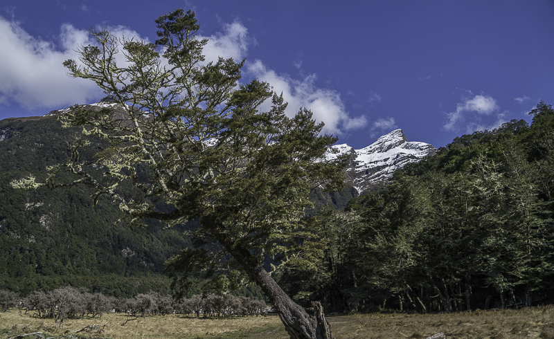 Glenorchy-154