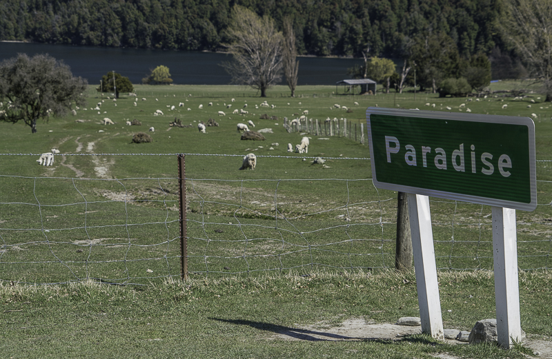 Glenorchy-228
