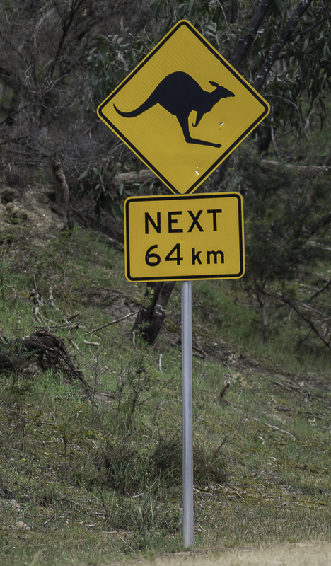 Grampians-61