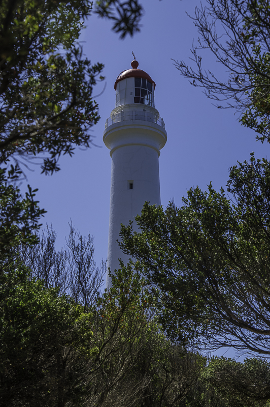 GreatOceanRoad-8