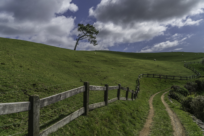 Hobbiton-100