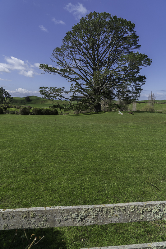 Hobbiton-138