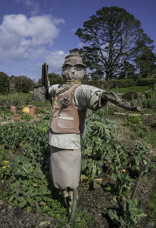 Hobbiton-38