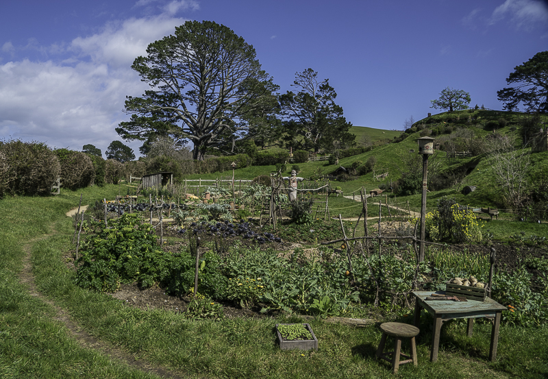 Hobbiton-55