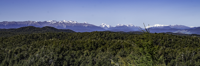HopeSaddle-3