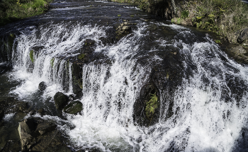 Karangahake-1