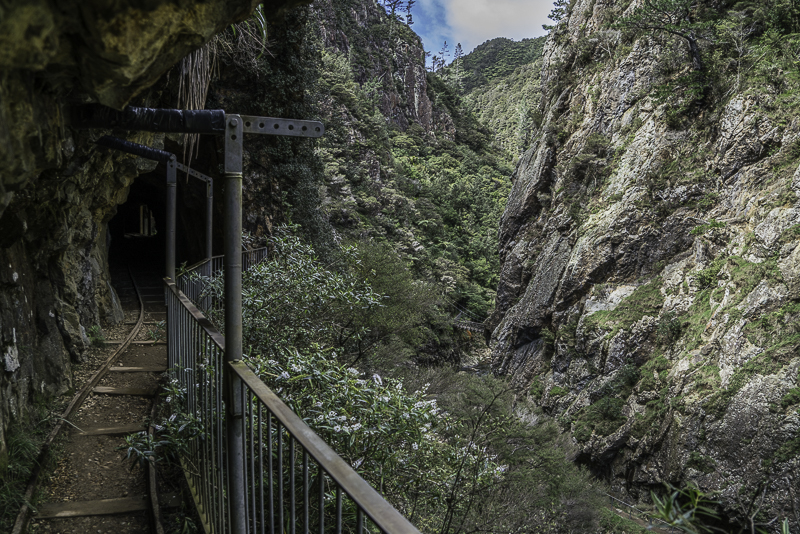 Karangahake-19