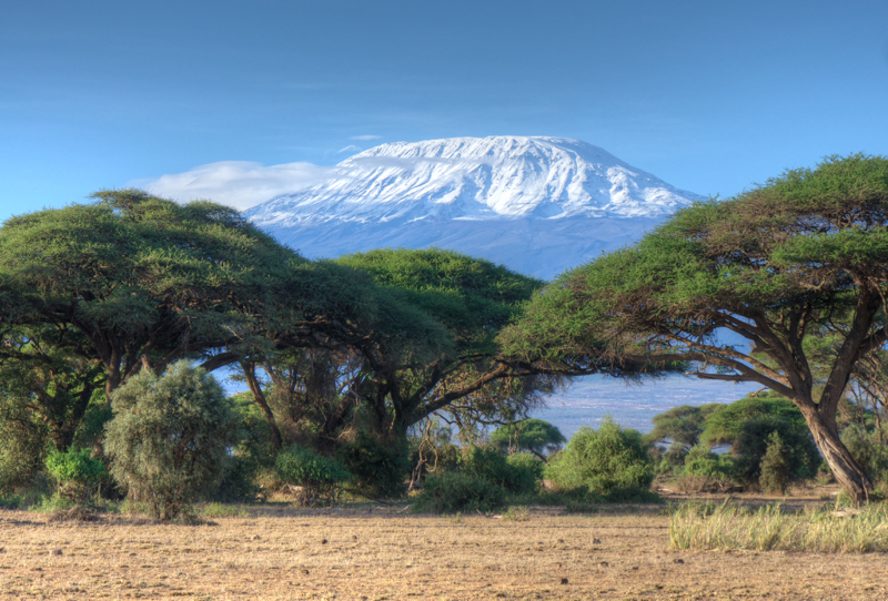 KiliAcacias
