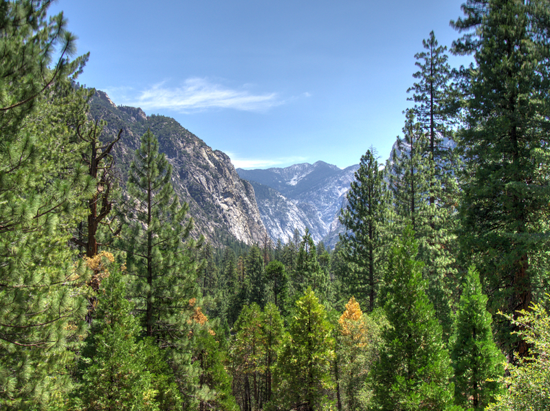KingsCanyon