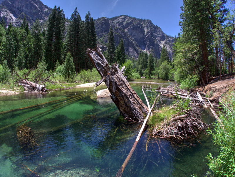 KingsRiver2