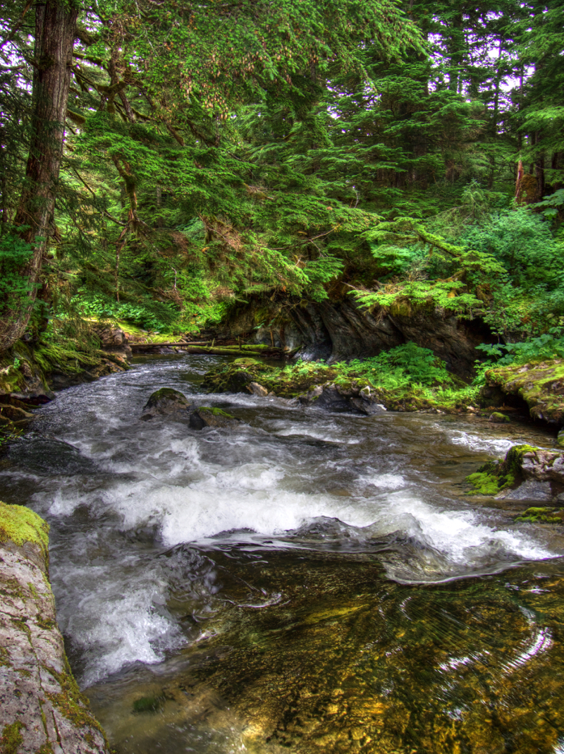 KookCreek