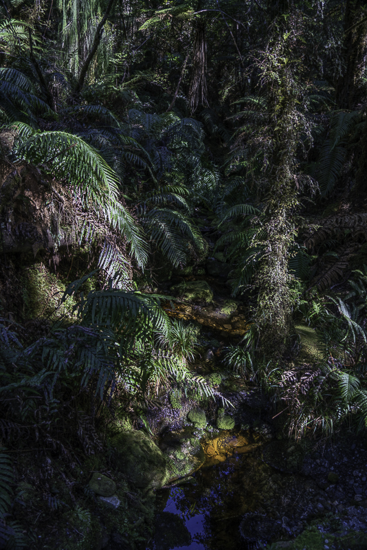 LakeMatheson-3