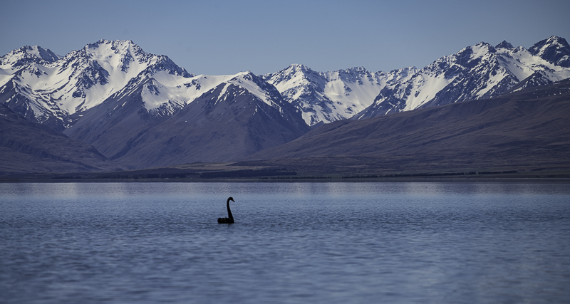 LakeTekapo-20