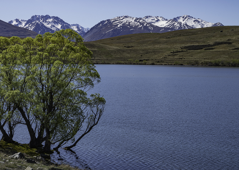 LakeTekapo-28