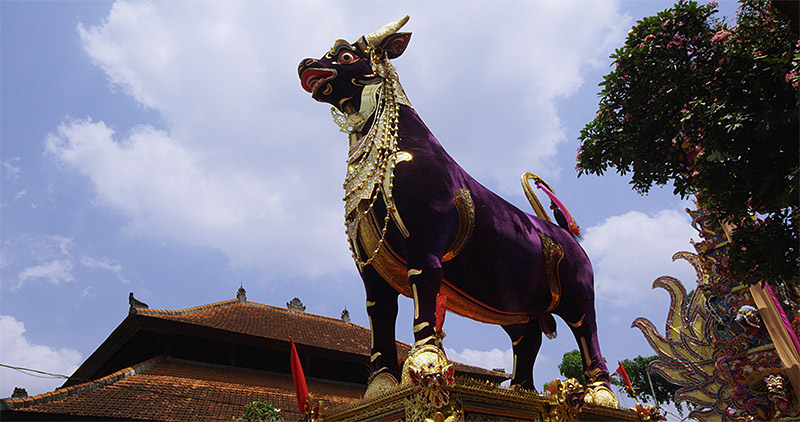 Lembu