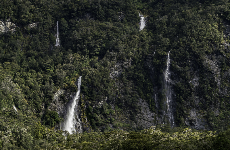 MilfordSound-21