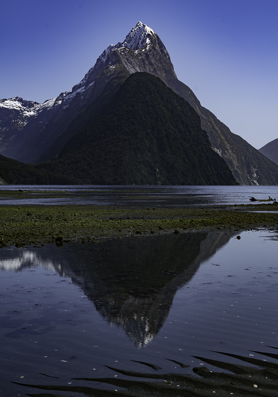 MilfordSound-231