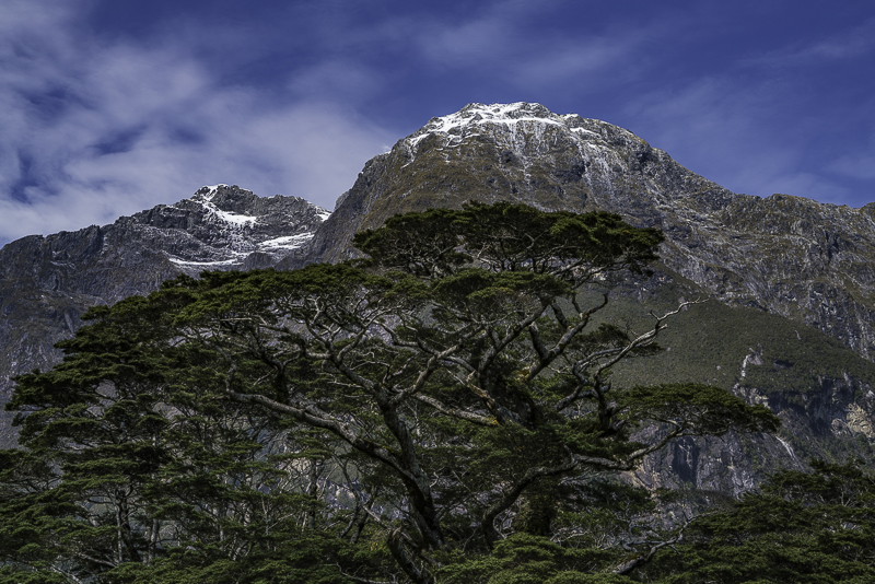 MilfordSound-241