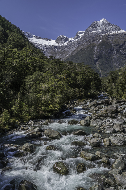 MilfordSound-250