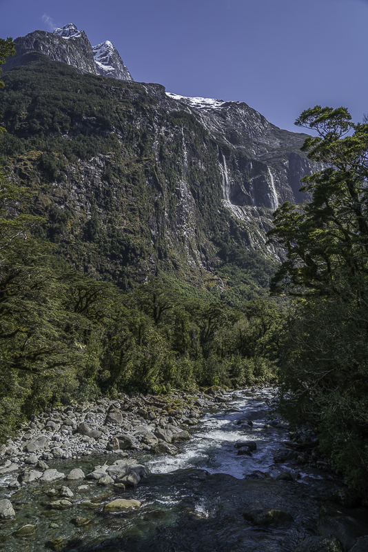 MilfordSound-252