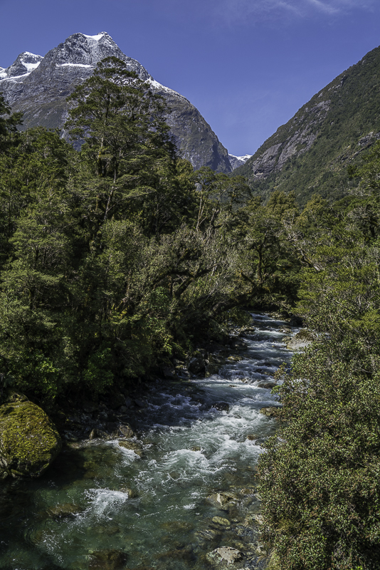 MilfordSound-254
