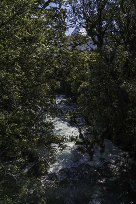 MilfordSound-258